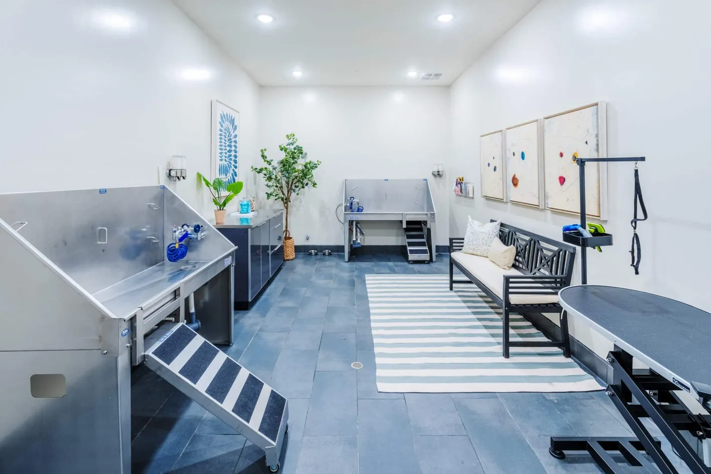 Pet Grooming Station