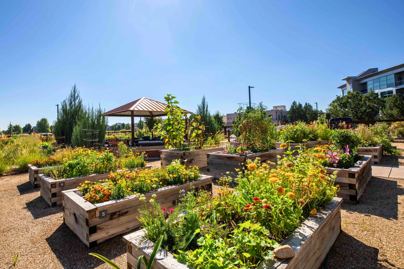Gardening Plots