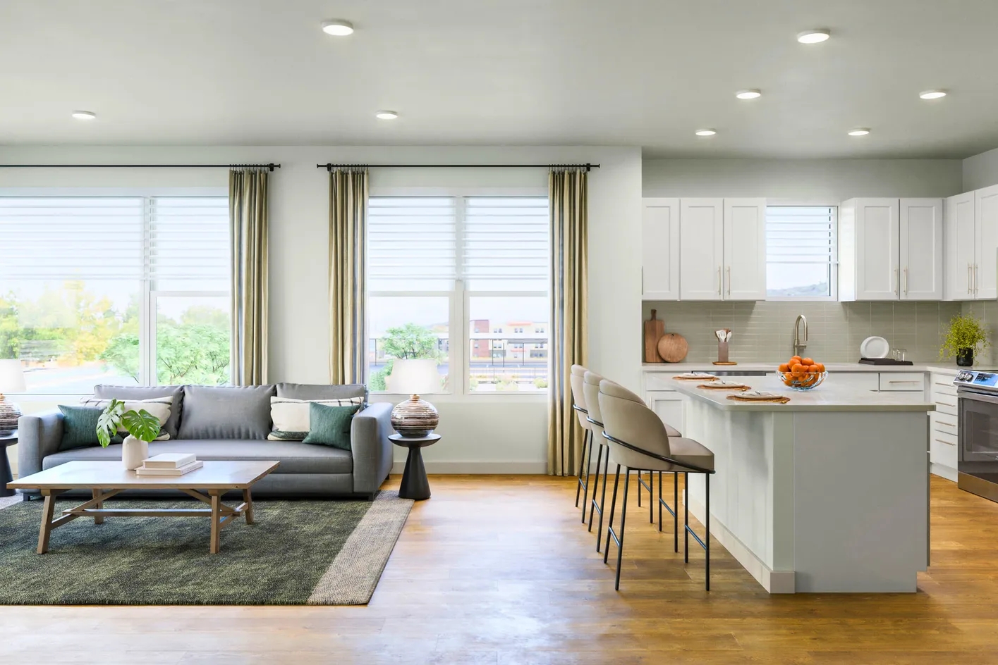 Kitchen and Living Room