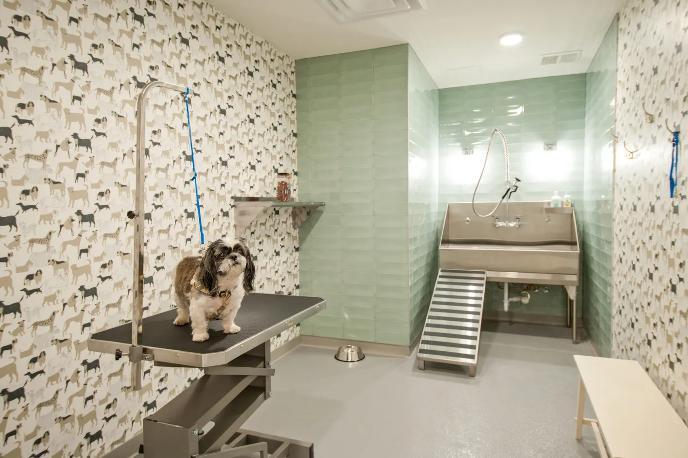 Pet Spa