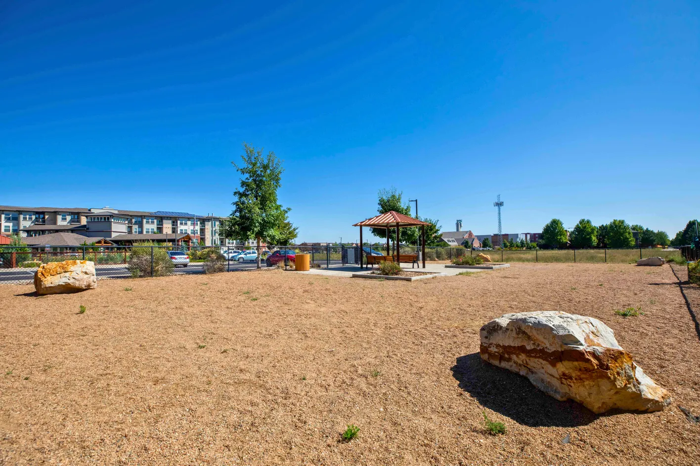 Dog Park
