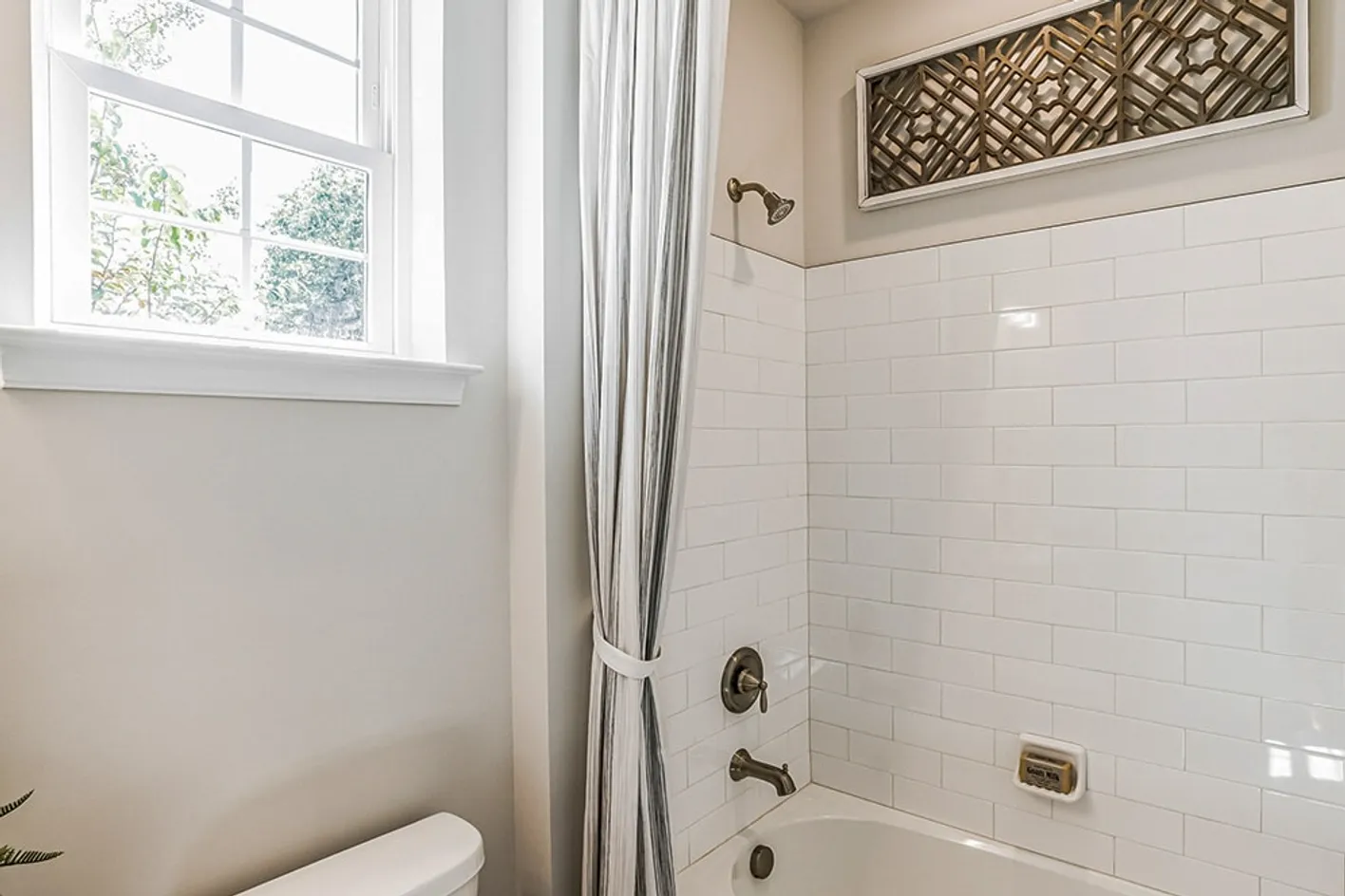 Model Shower