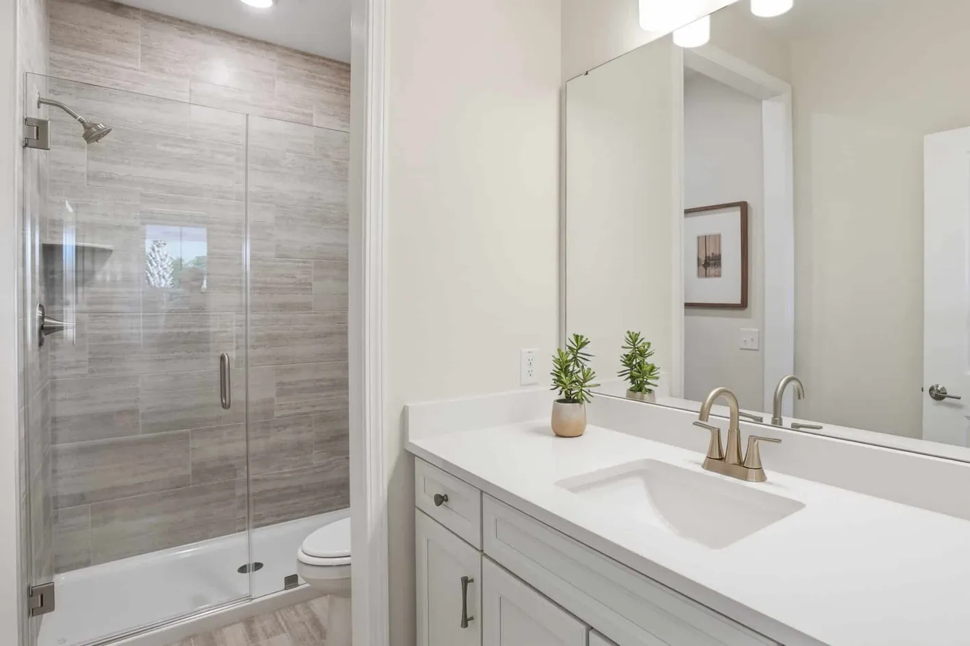 Del Webb Point Hope