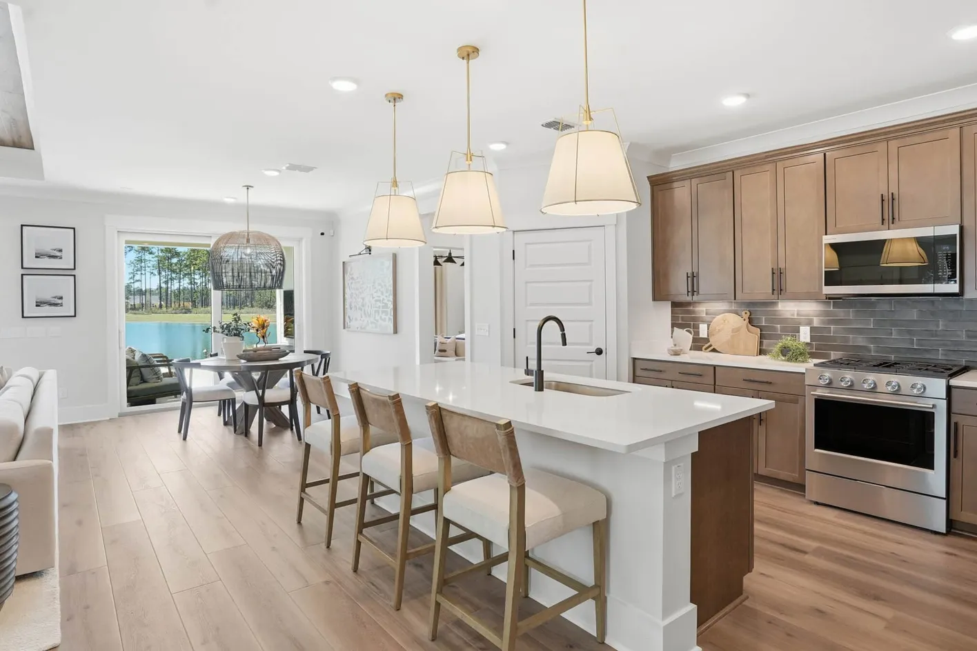 Del Webb Point Hope