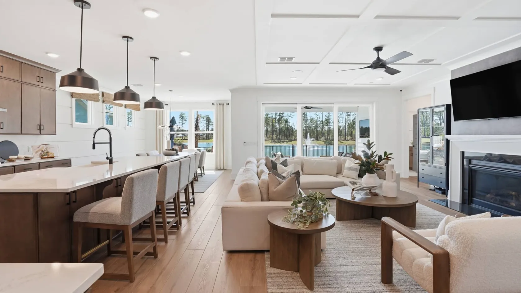 Del Webb Point Hope