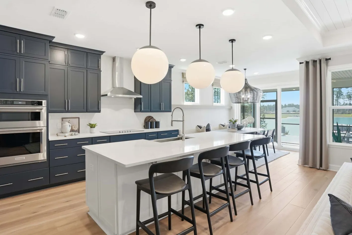Del Webb Point Hope
