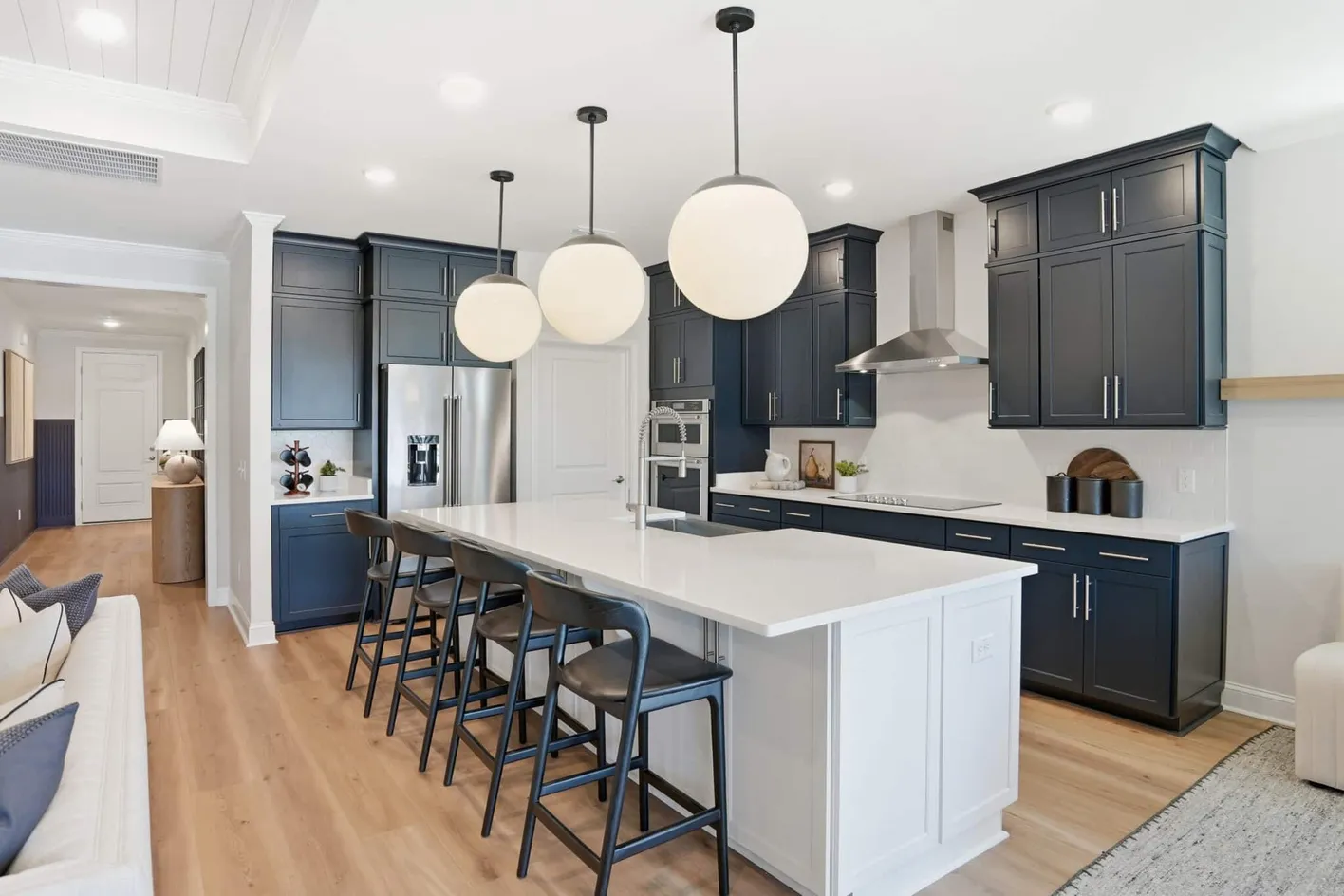 Del Webb Point Hope