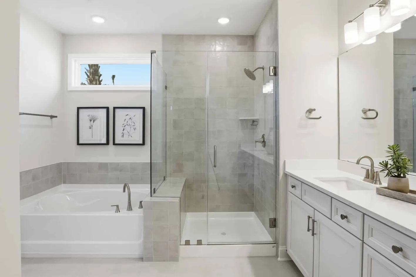 Del Webb Point Hope