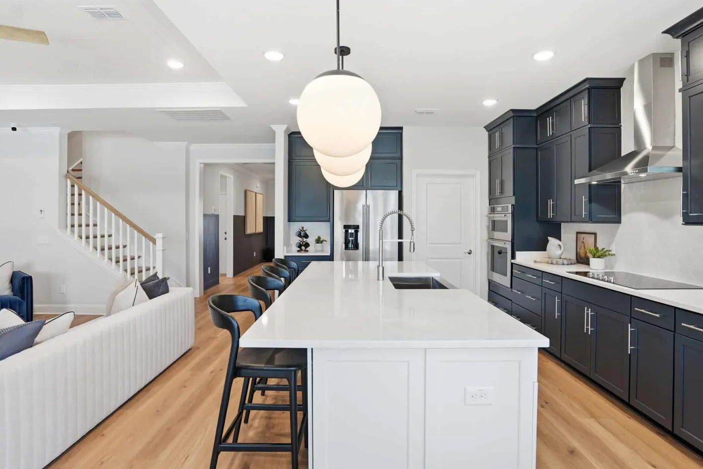 Del Webb Point Hope