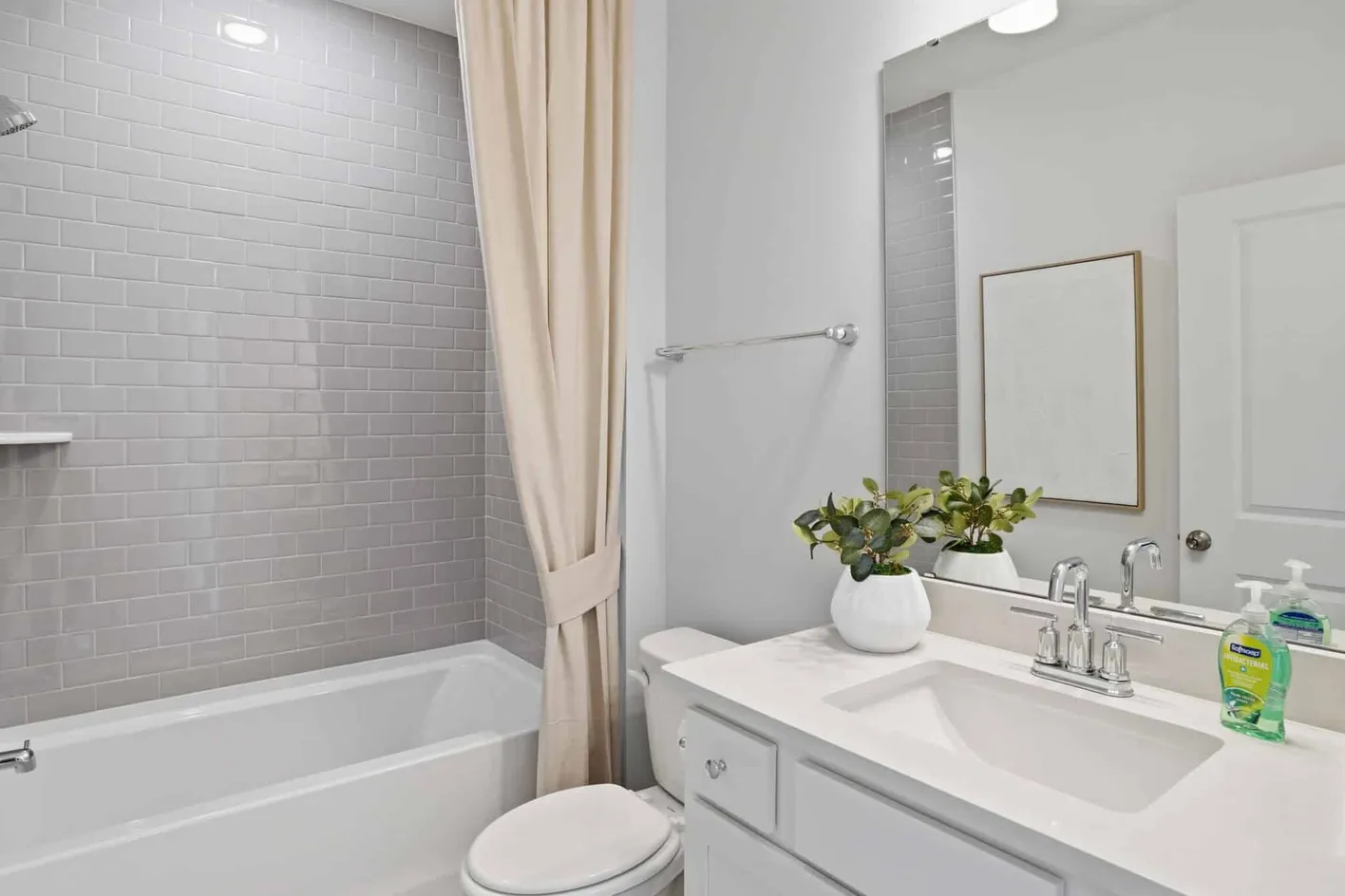 Del Webb Point Hope