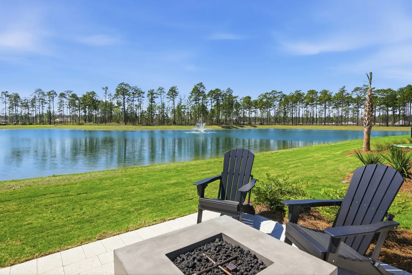 Del Webb Point Hope