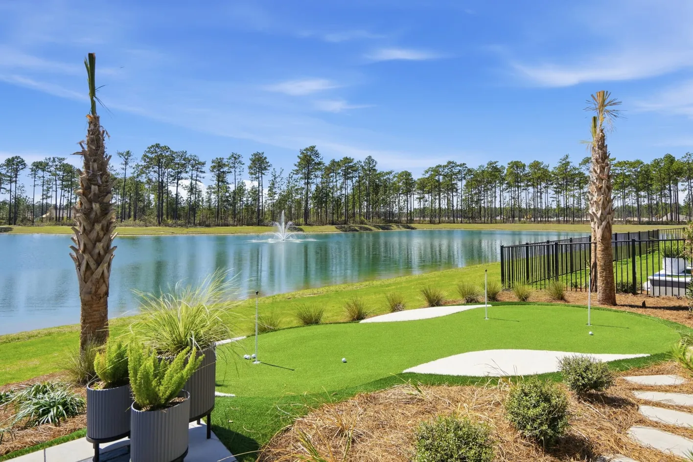 Del Webb Point Hope