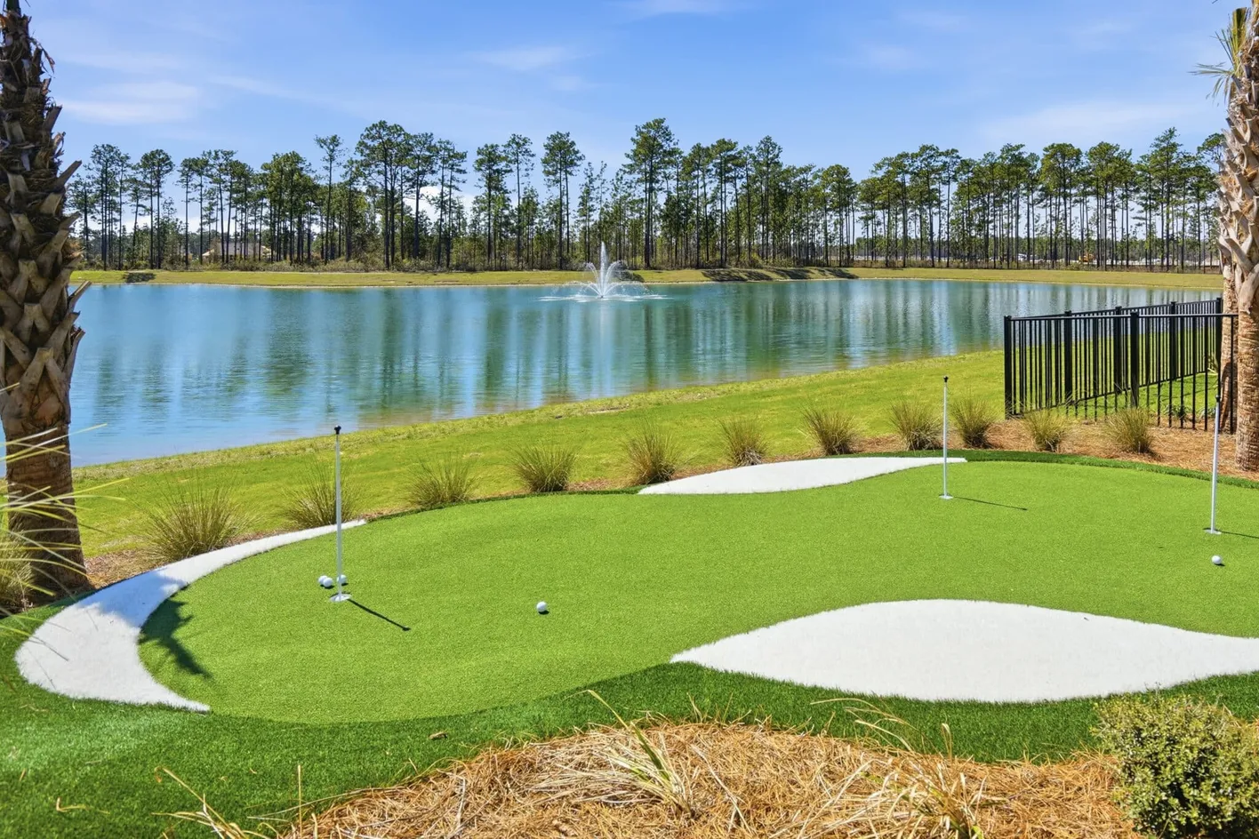 Del Webb Point Hope