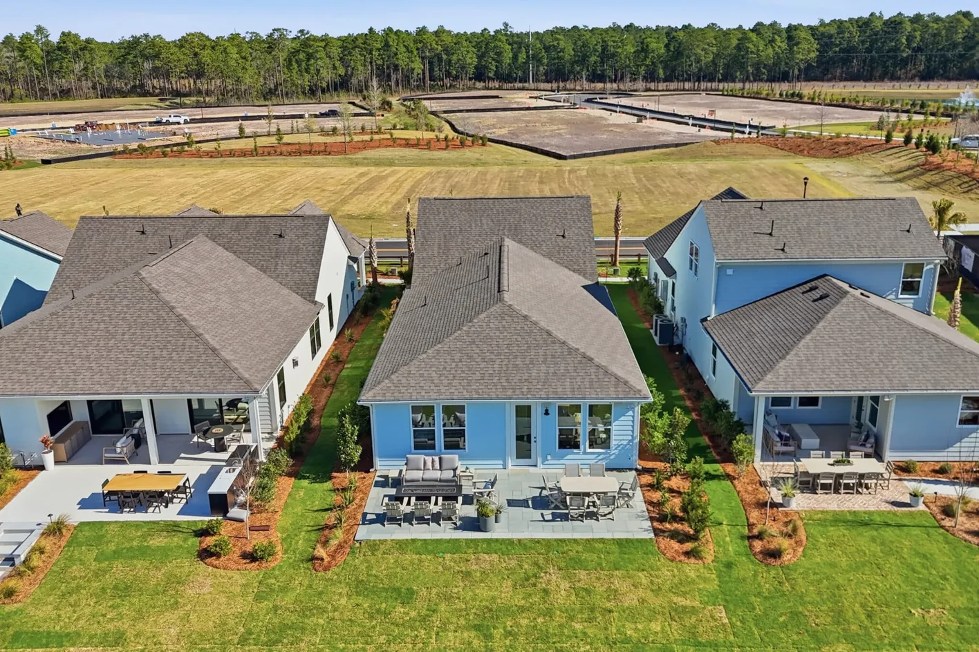 Del Webb Point Hope