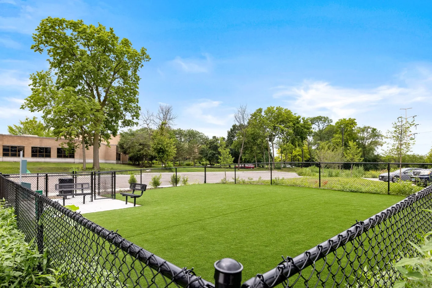 Dog Park