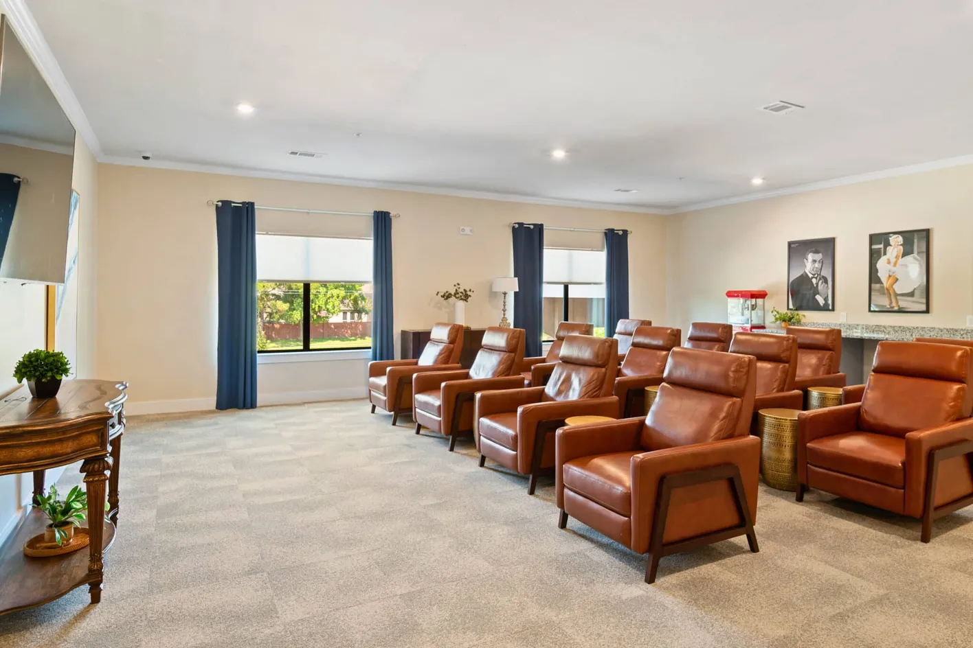 Media Room