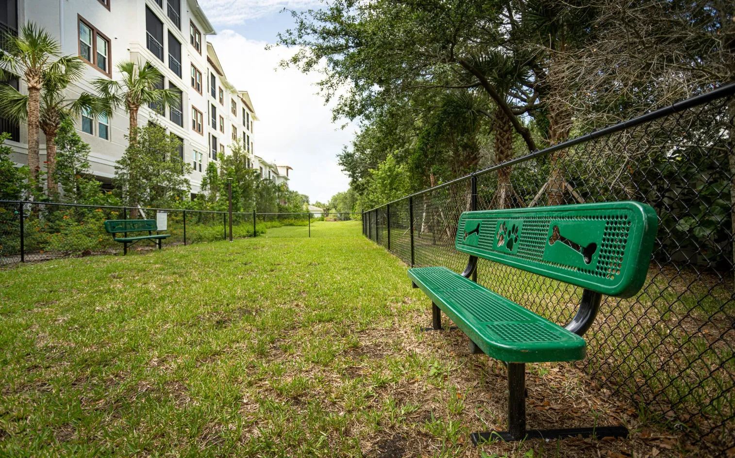 Dog Park