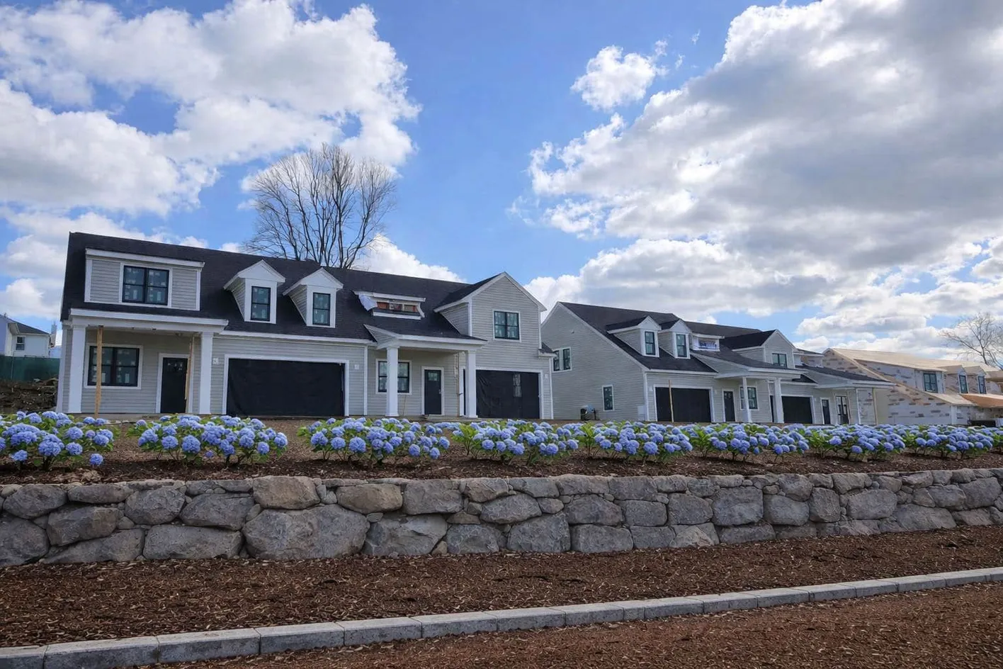 01 - Hawthorn Preserve | Braintree, MA 