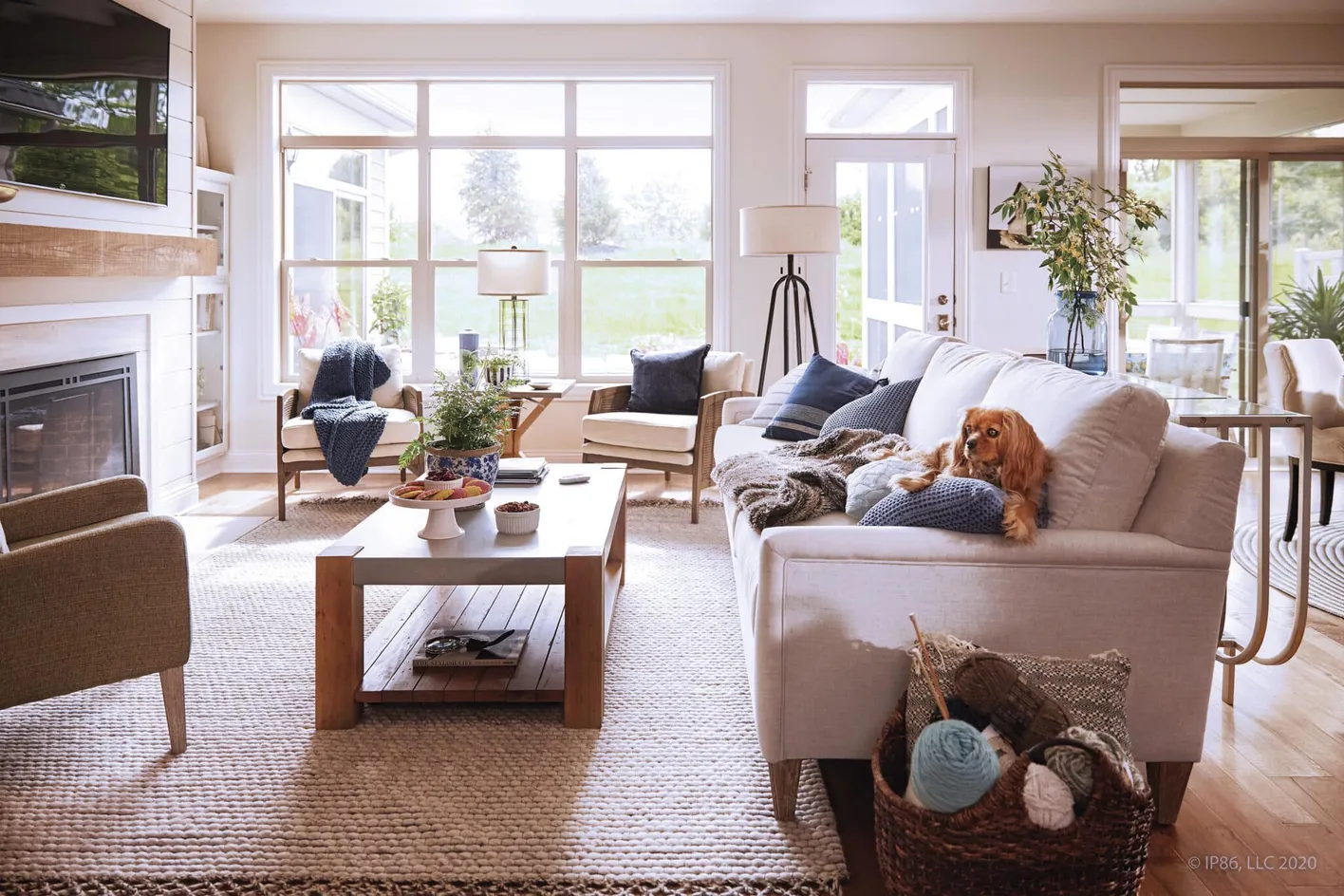 Inviting living room with pet lounging on sofa