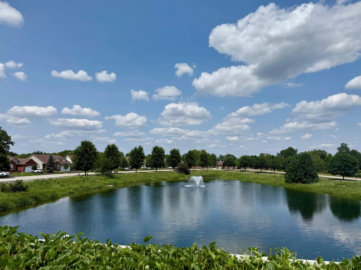 Pond