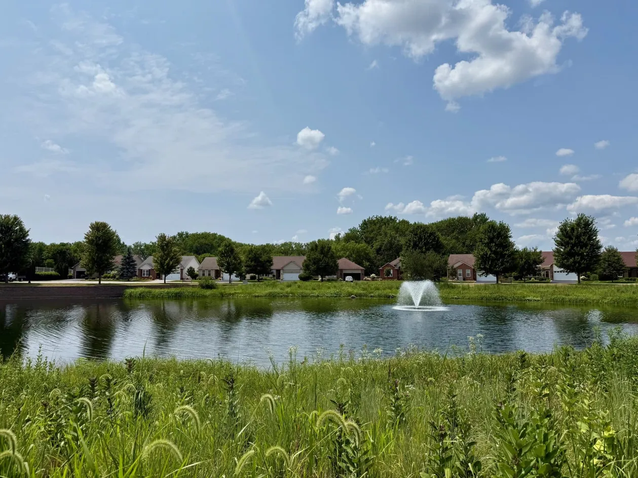 Pond