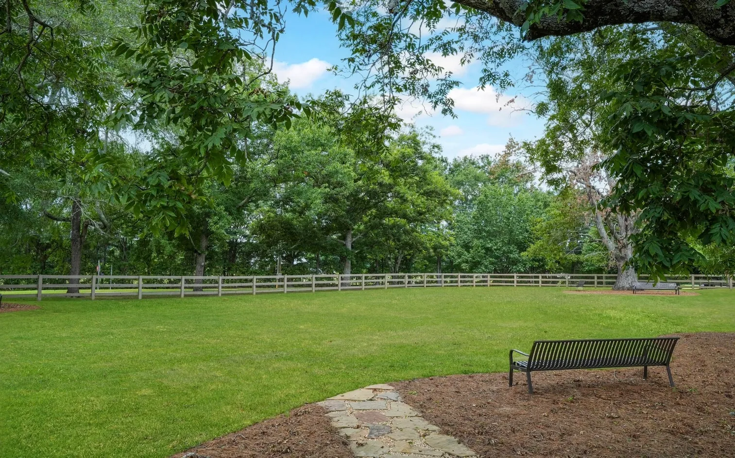 Dog Park