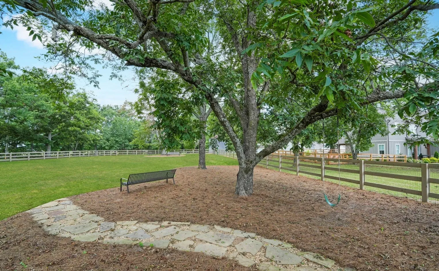 Dog Park