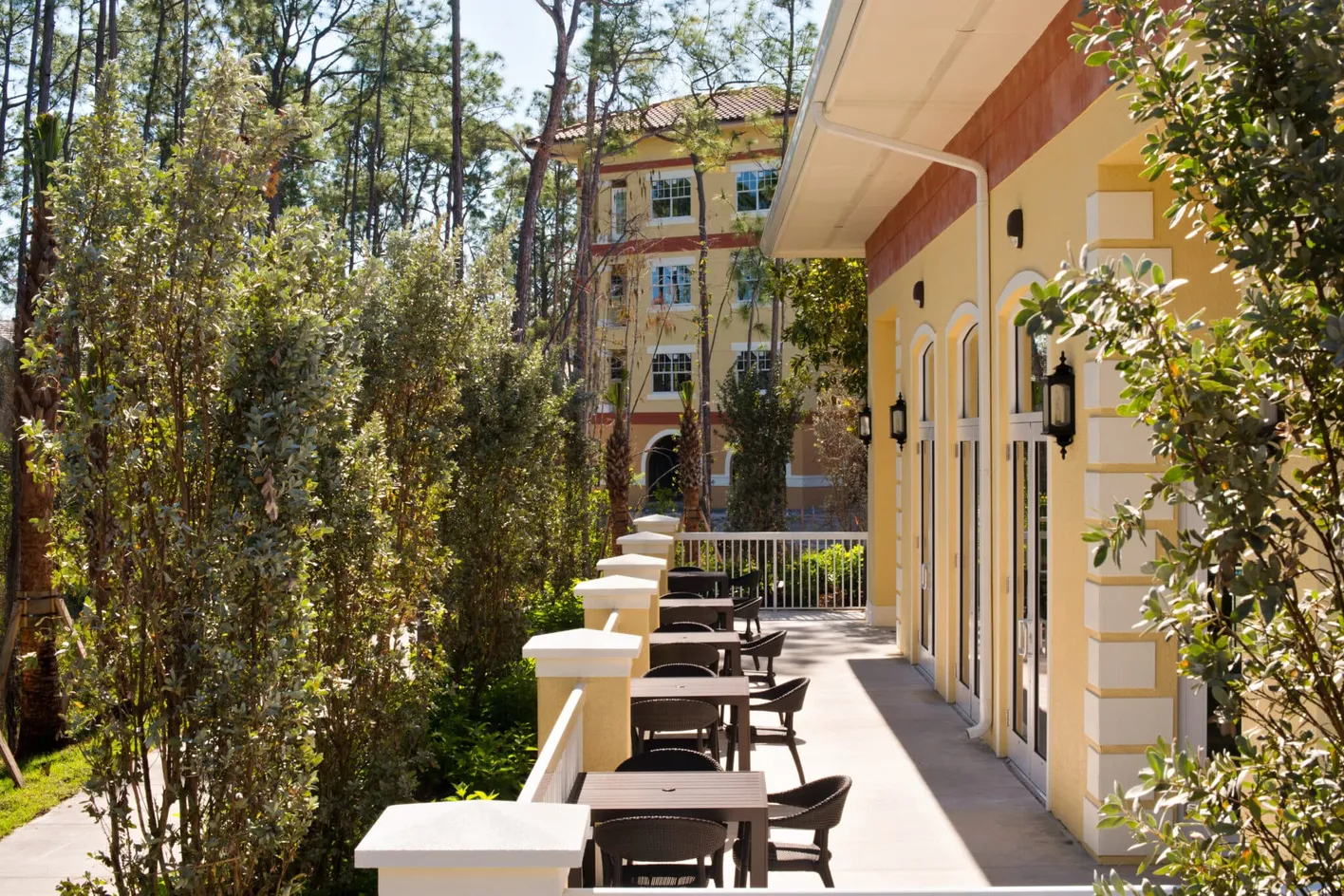 Terrace