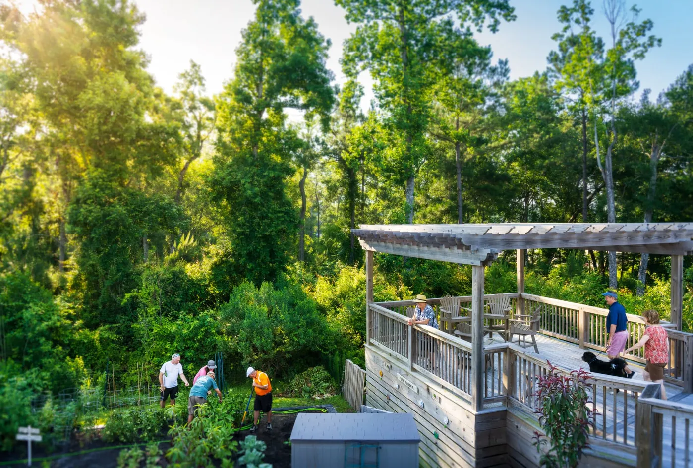 Garden Plots