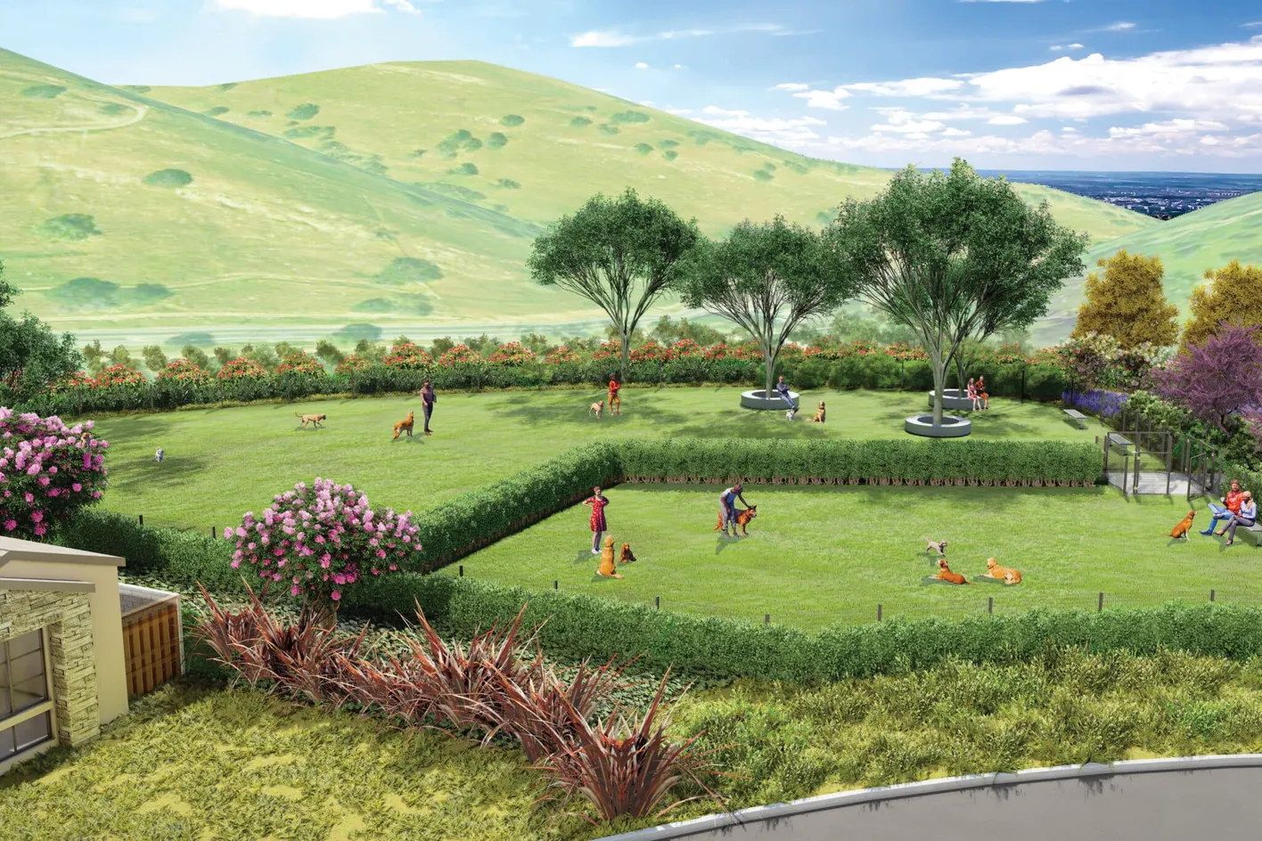 Dog Park Area