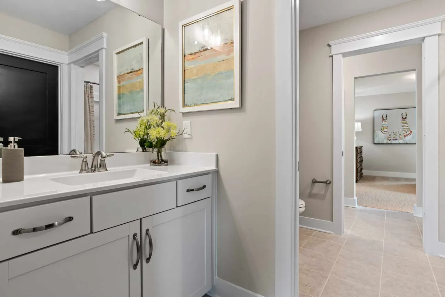 Bathroom Vanity Area