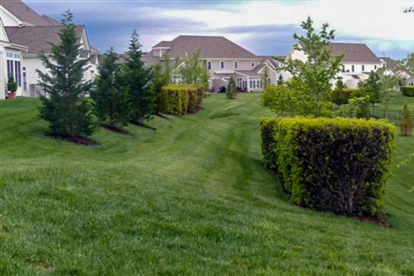 Grounds
