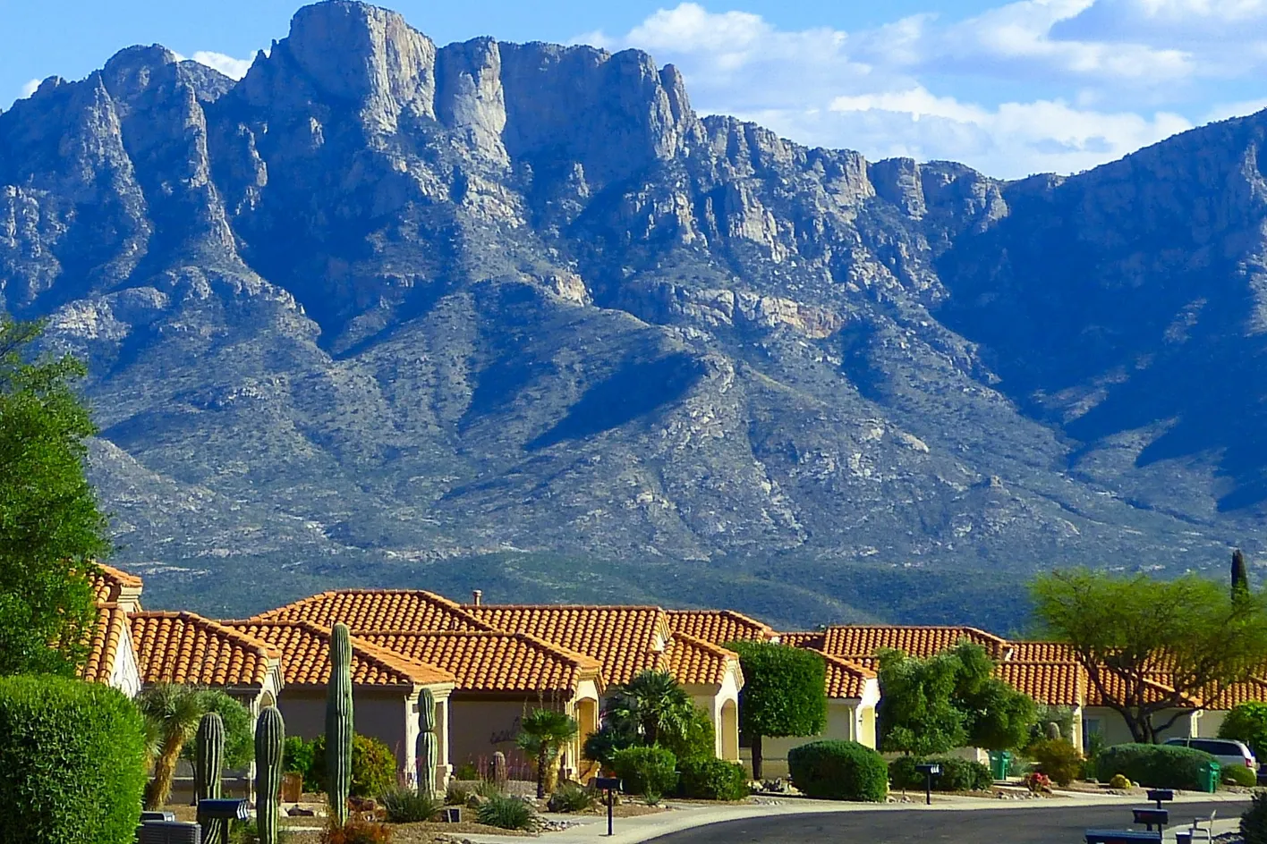 Single-Family Homes