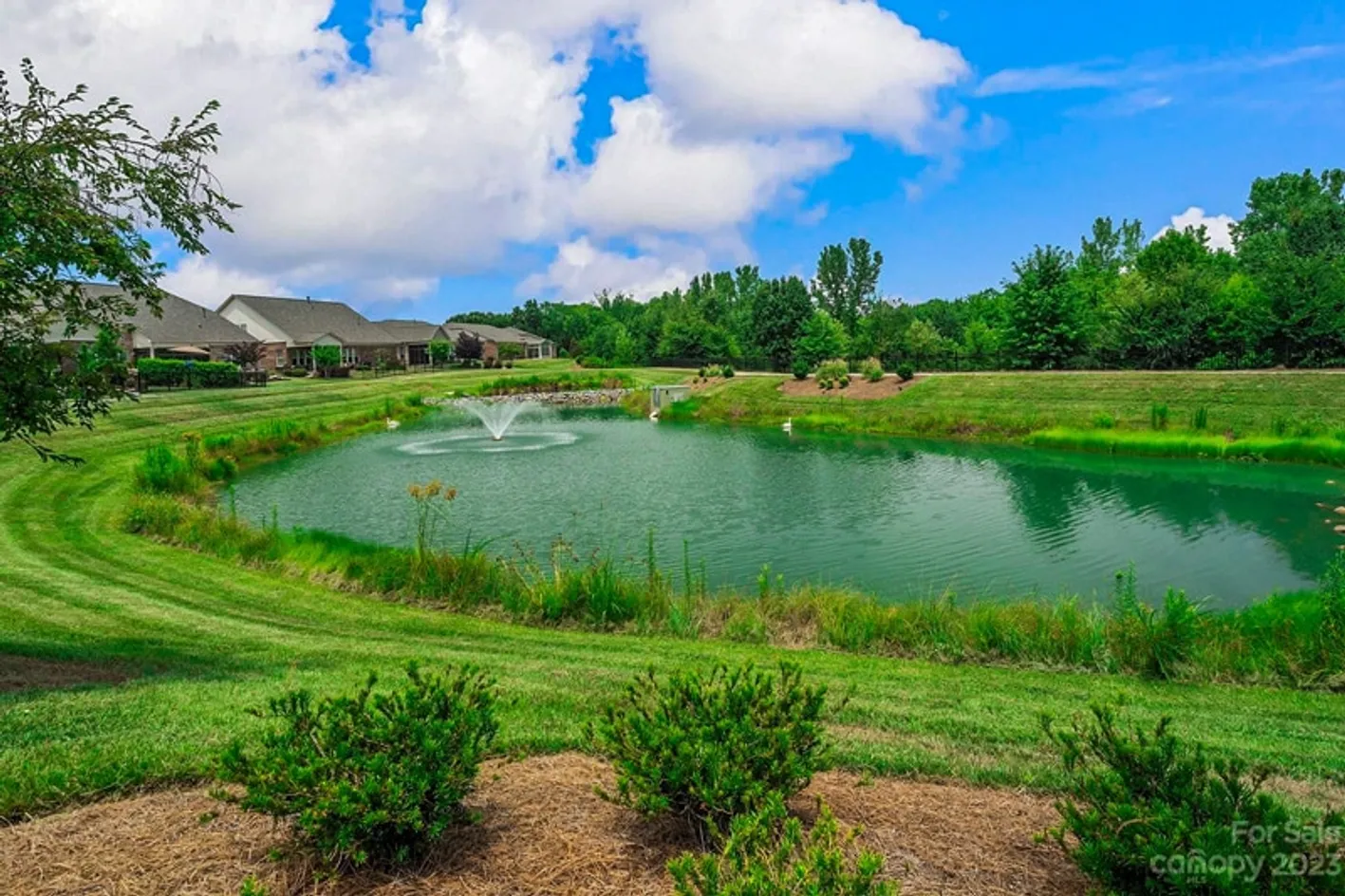 Scenic Pond