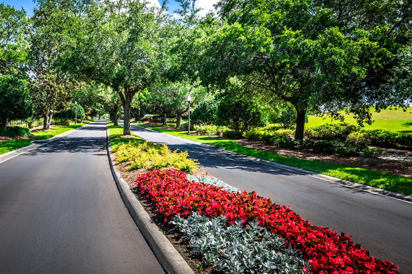 Landscaped Streets