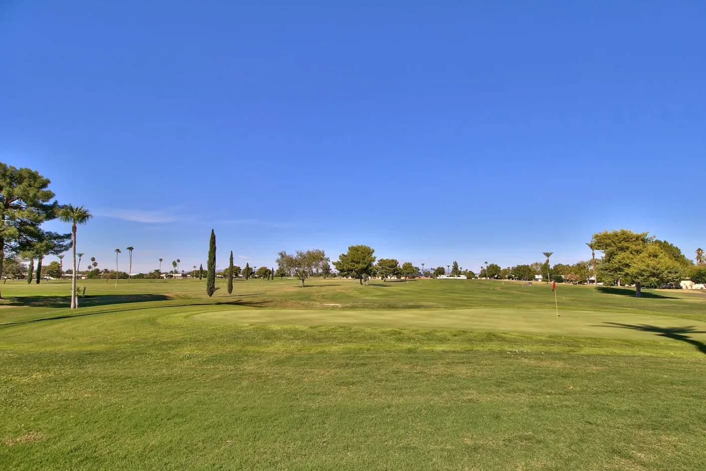 11 Golf Courses
