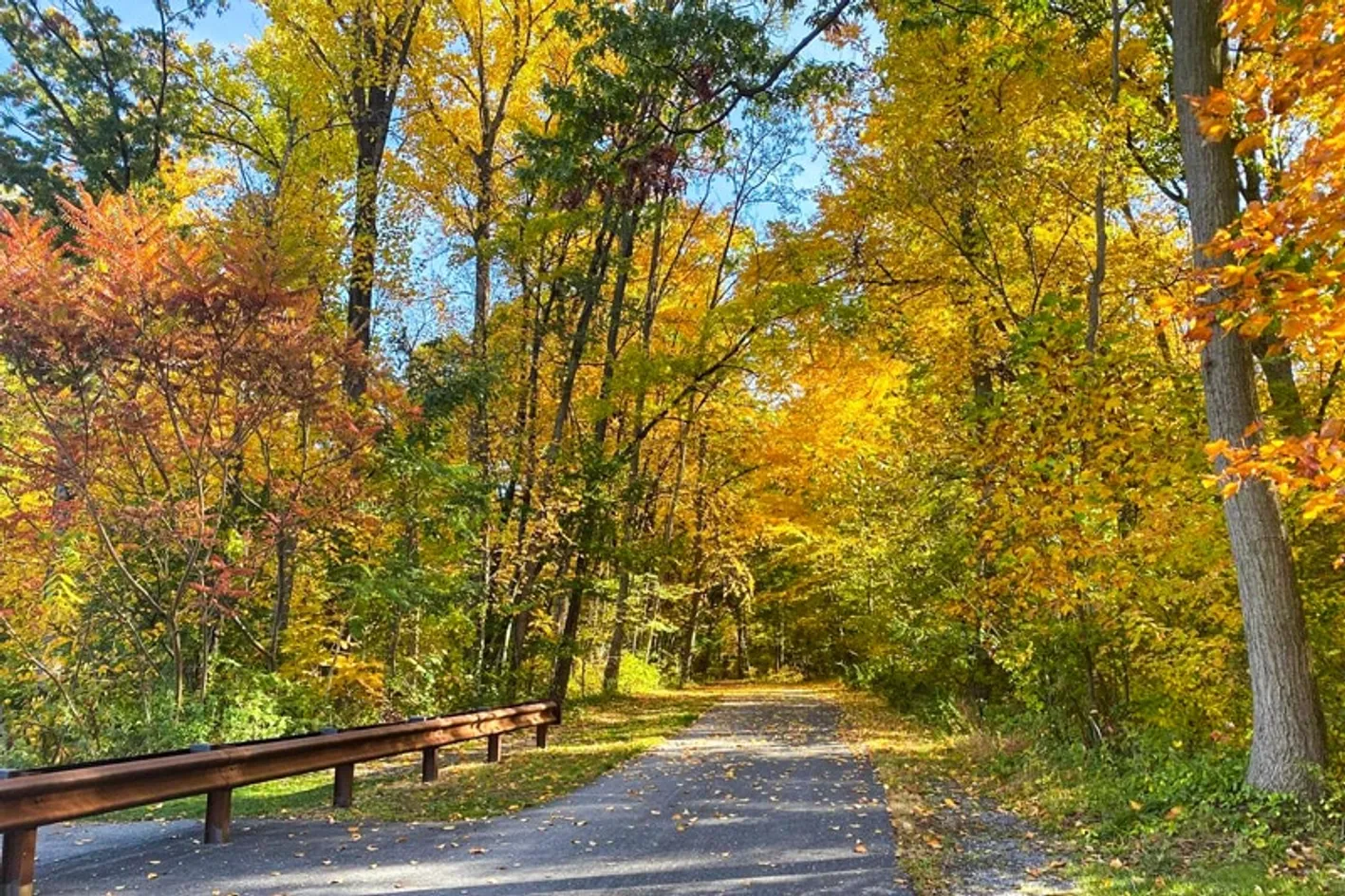 Natural Areas