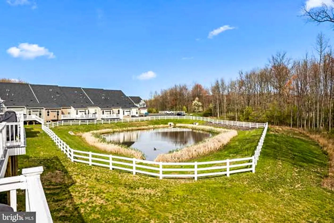Pond