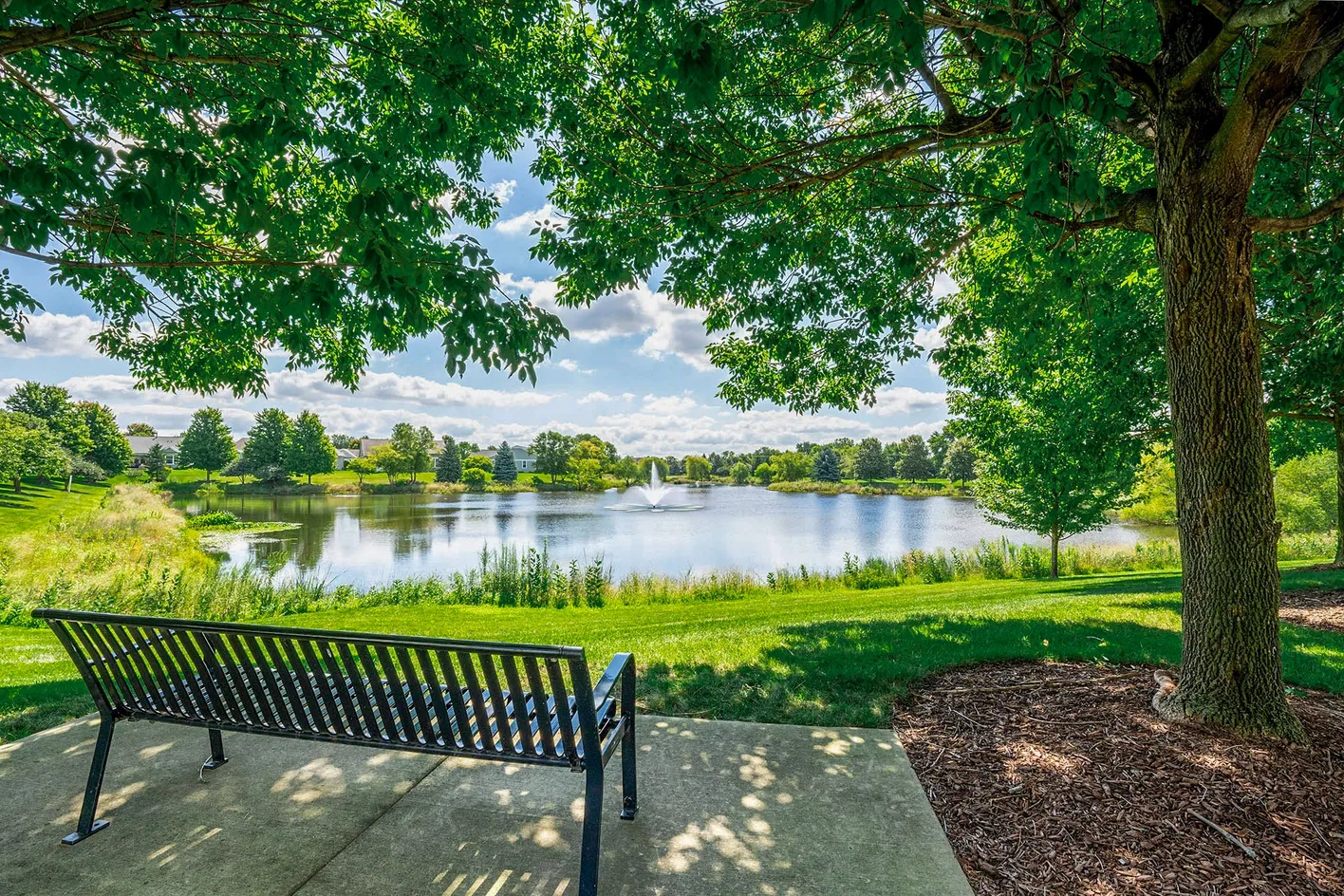Park Bench