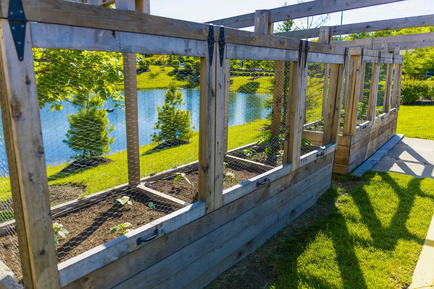 Community Garden