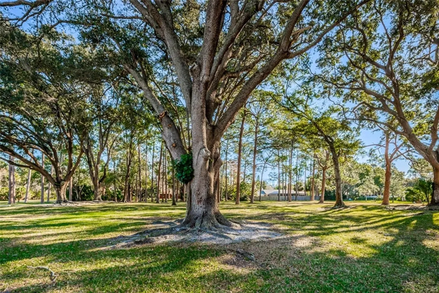 Community Grounds