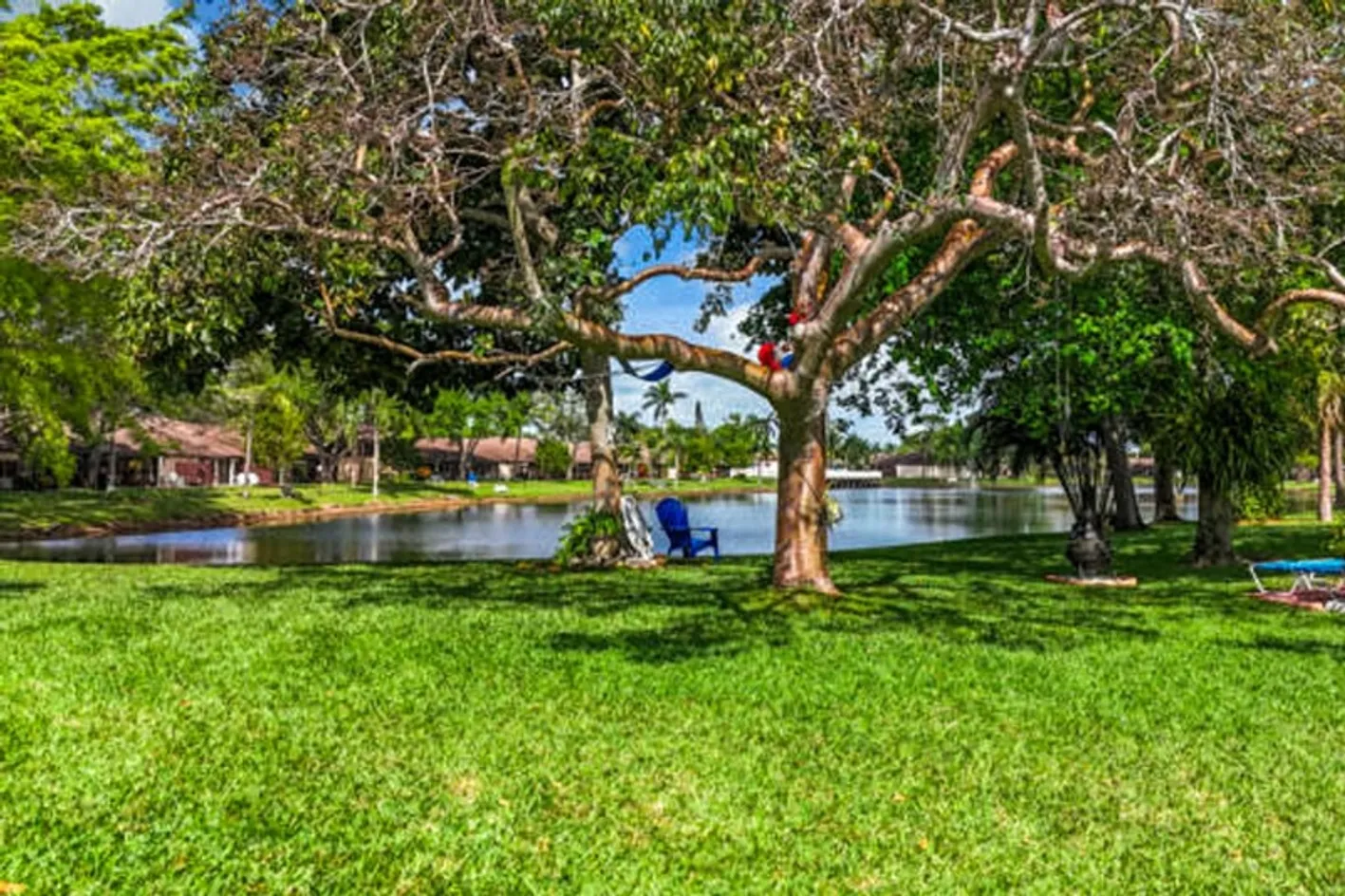 Grounds