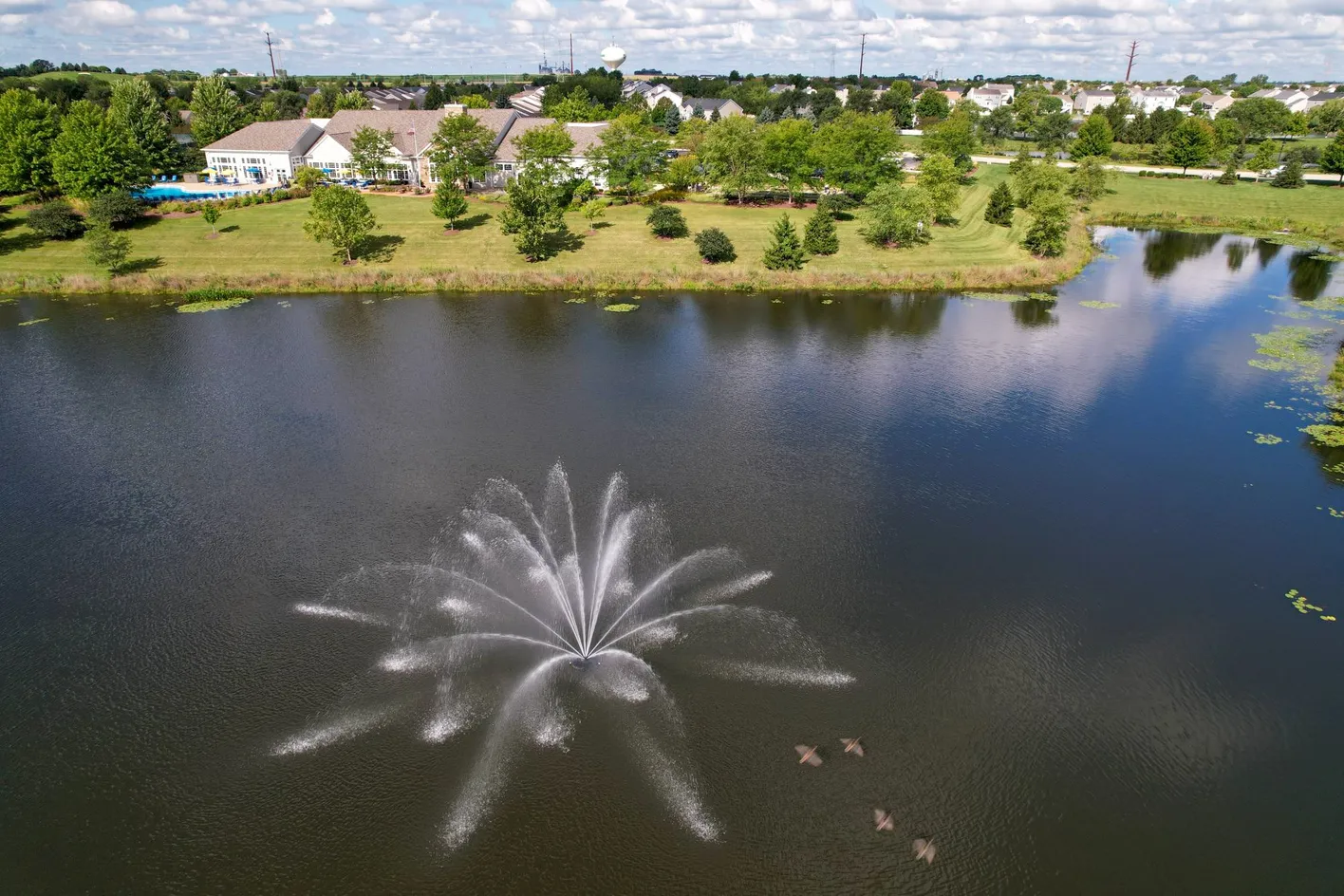 Scenic Pond