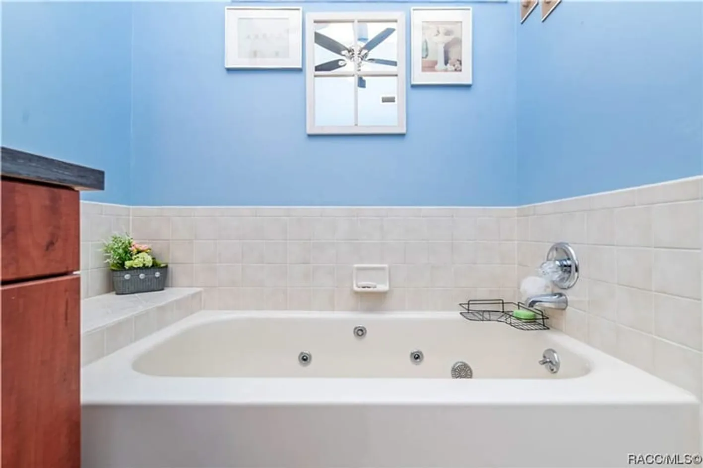 Bathtub