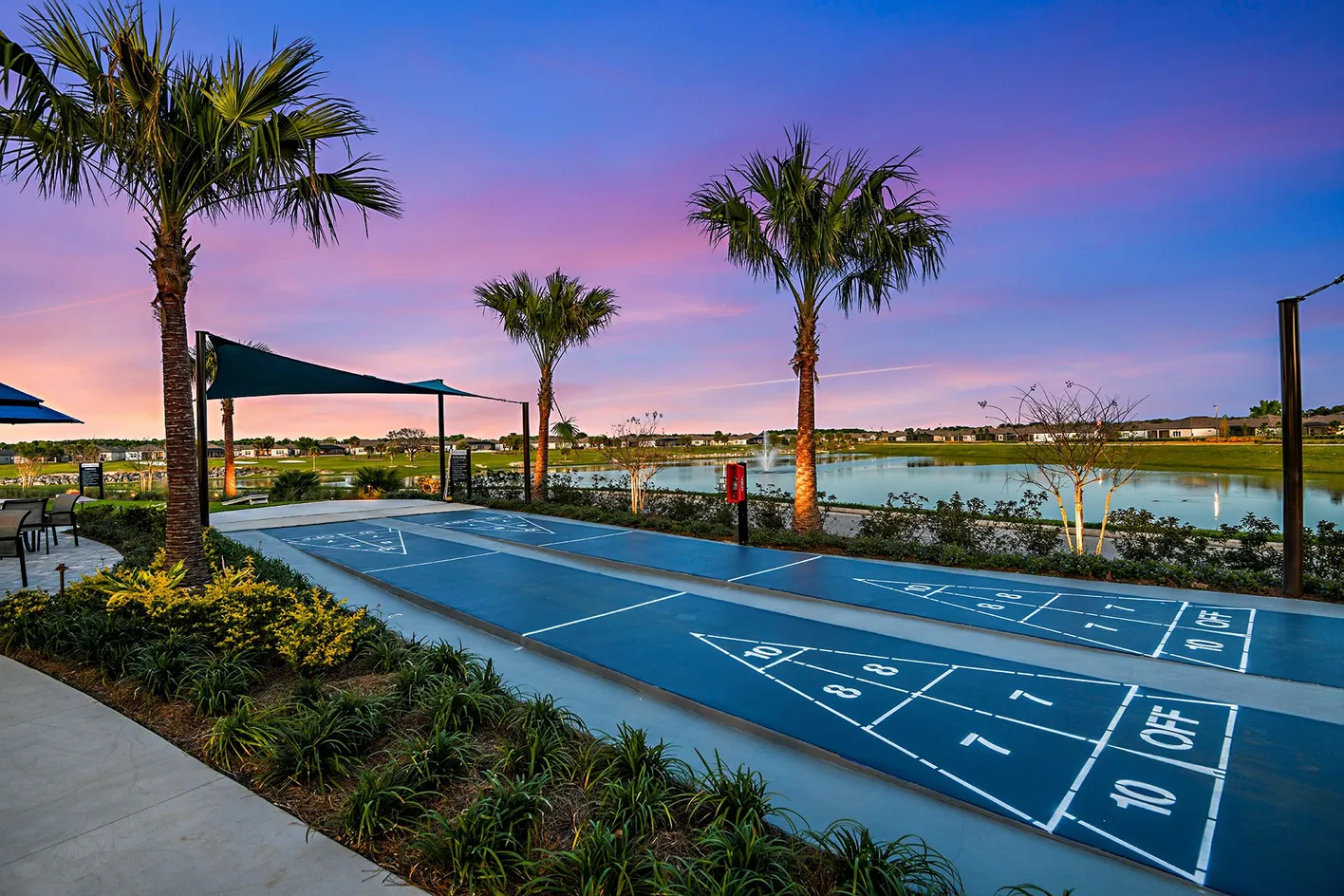 Shuffleboard