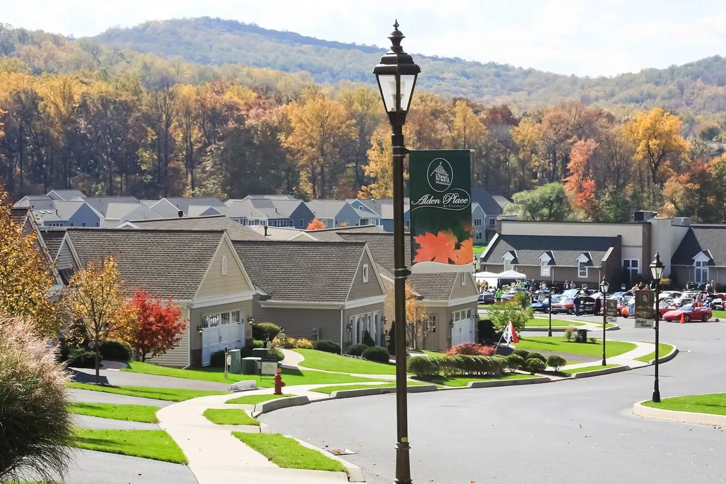Street Banner & Homes