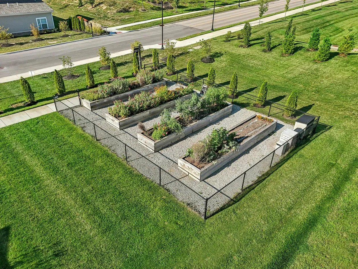 Community Garden