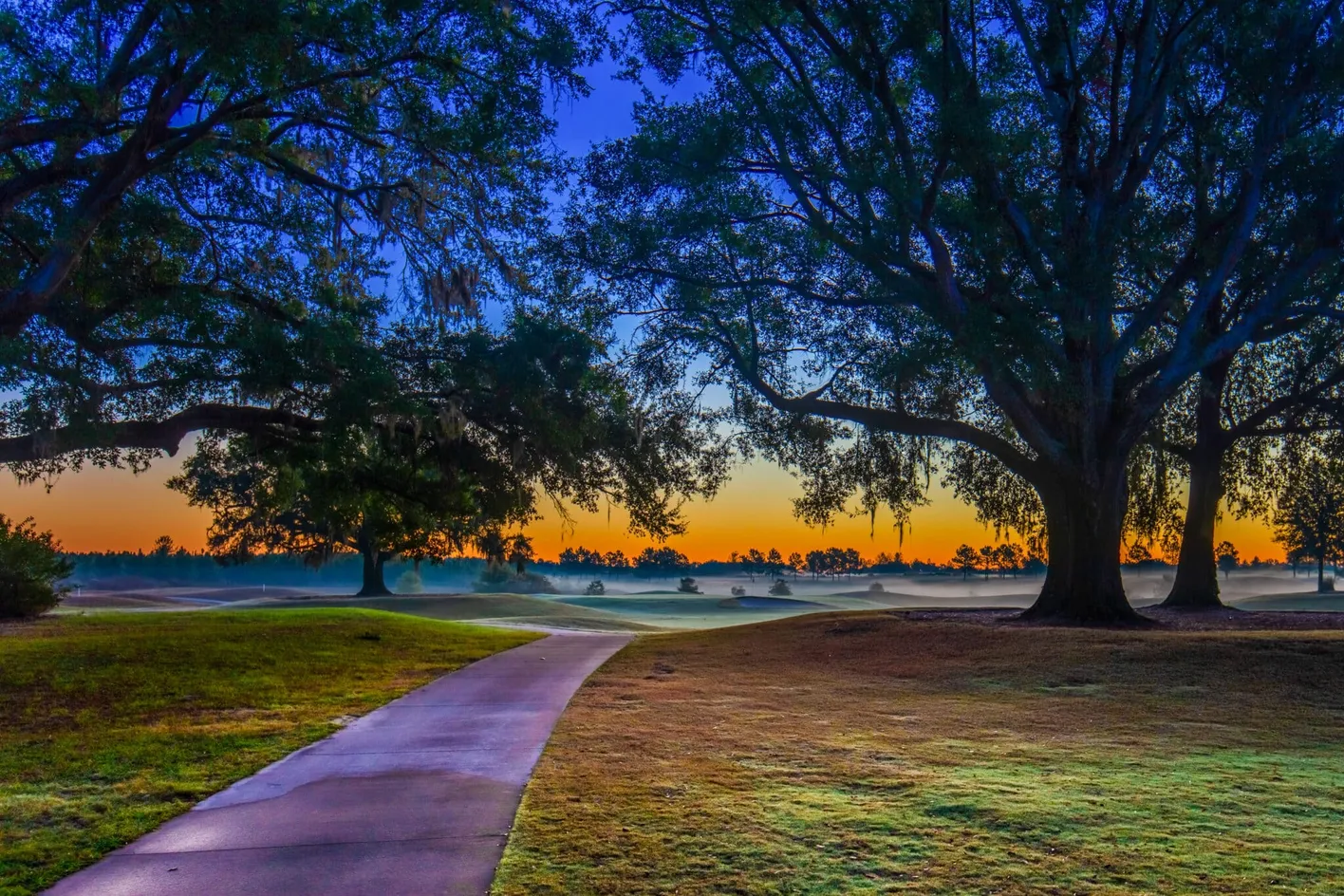 Grounds