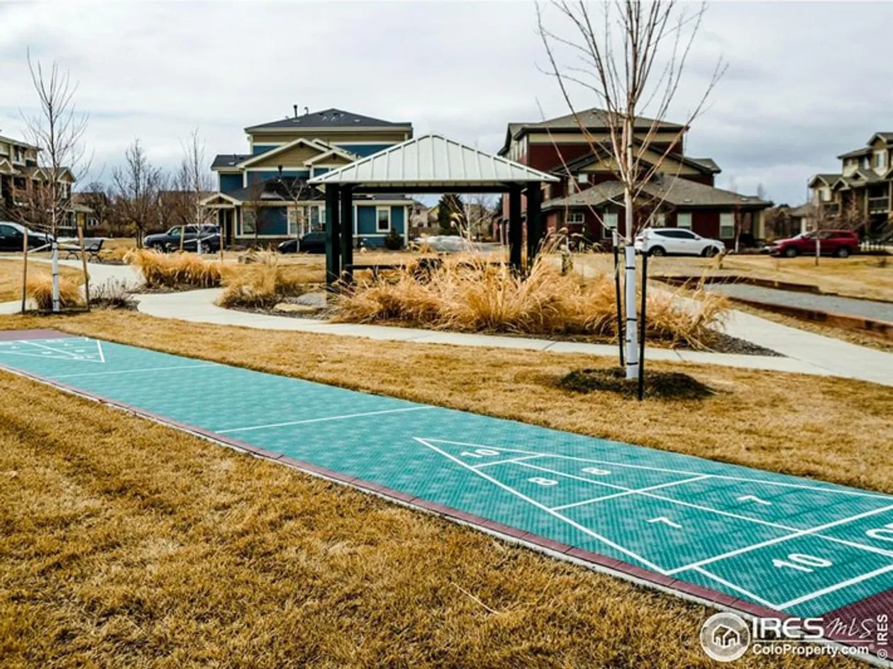 Shuffleboard Court