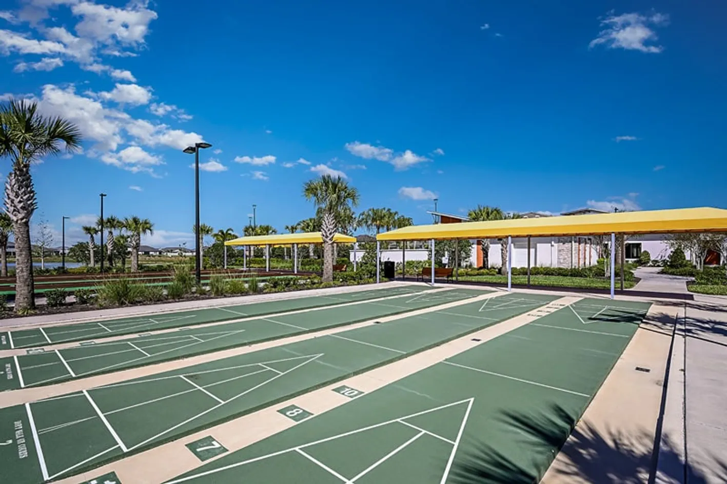 Shuffleboard